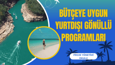 yurt-disi