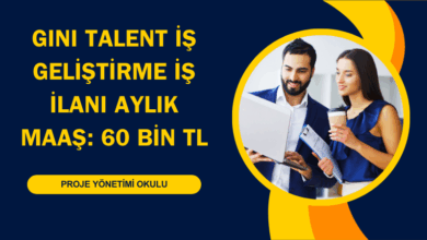 gini-talent
