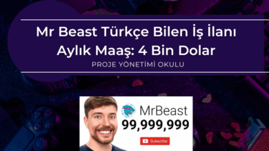 mr-beast