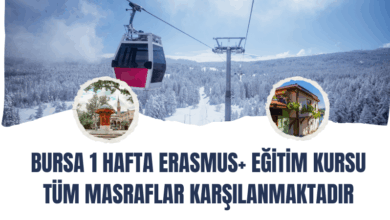 bursa
