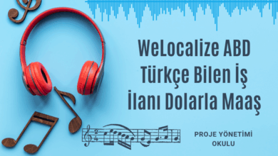 welocalize