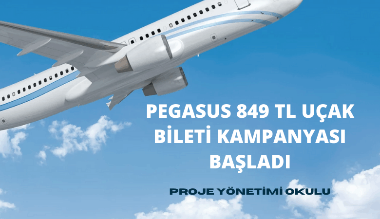 pegasus