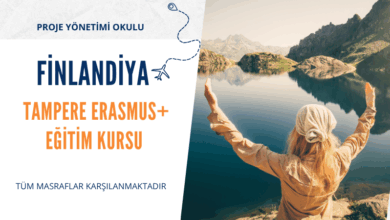 finlandiya