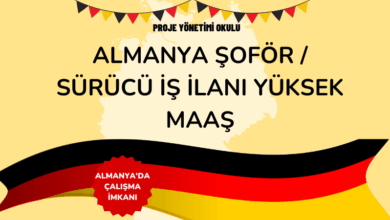 almanya-sofor