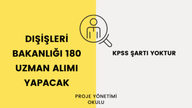 dis-isleri