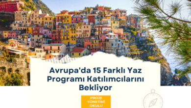 yaz-programi