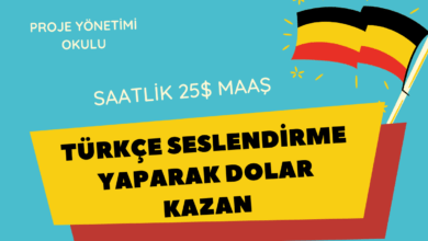 turkce-seslendirme
