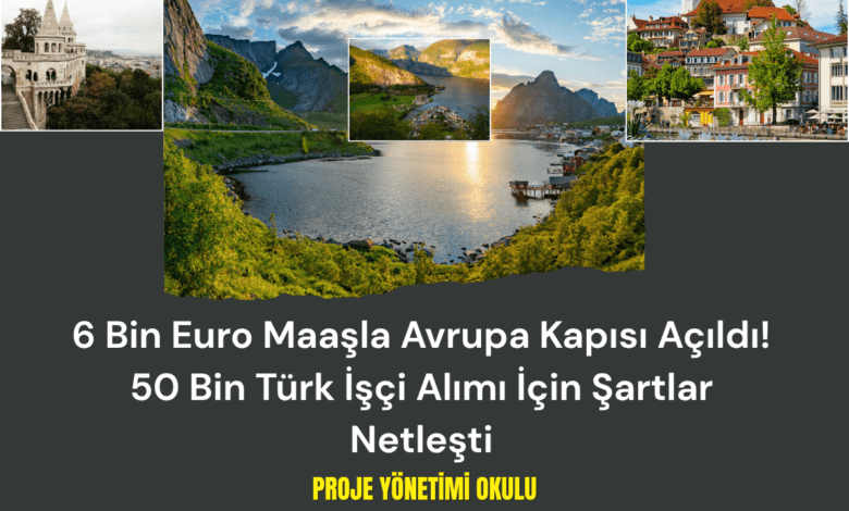 6-bin-euro