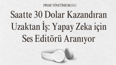saatte-30-dolar