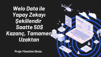 welo-data