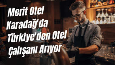 merit-otel