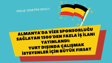 vize-sponsorlugu