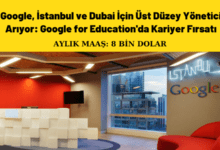 google-is-ilani