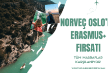 norvec-oslo