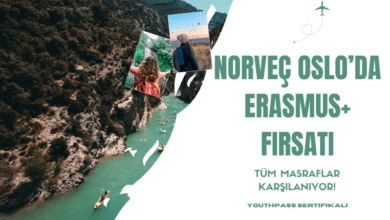 norvec-oslo