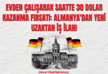 30-dolar