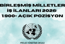 birlesmis-milletler