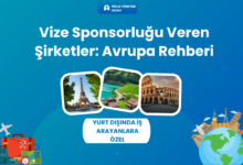 vize-sponsorlugu