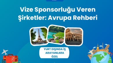 vize-sponsorlugu
