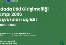 gidada-etki