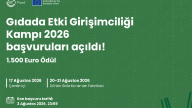 gidada-etki