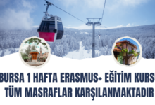 bursa