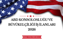 abd-konsoloslugu