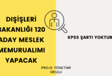 disisleri