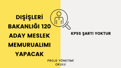 disisleri