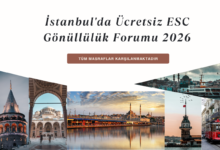 istanbul-ucretsiz