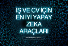is-ve-cv