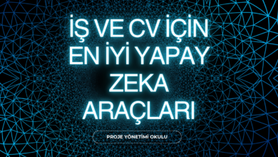 is-ve-cv