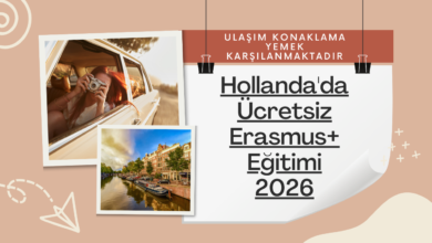 hollanda
