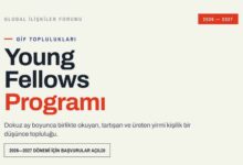 young-fellows
