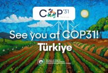 cop-31