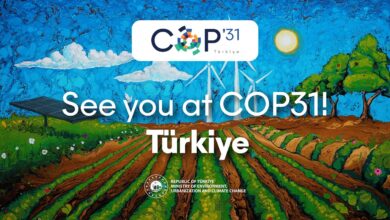 cop-31