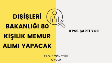dis-isleri