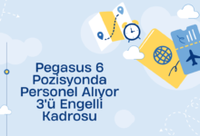 pegasus