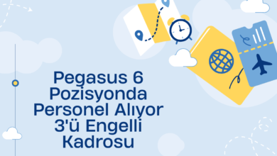 pegasus