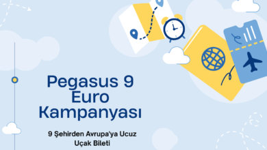 pegasus