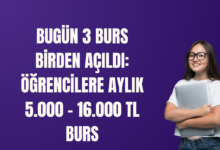 burs