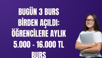 burs