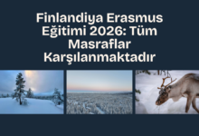 finlandiya