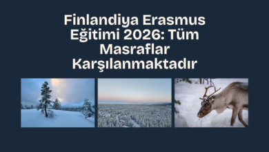 finlandiya