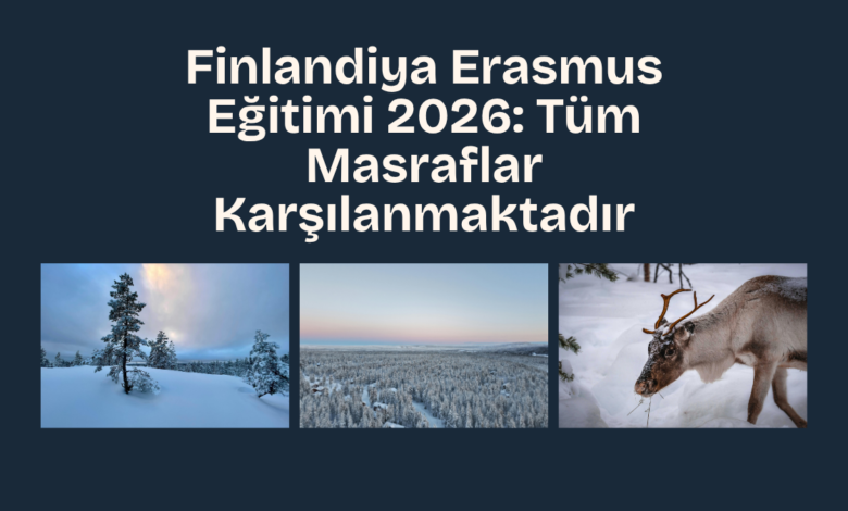 finlandiya
