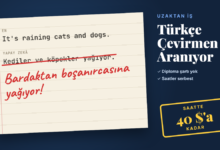 turkce-cevirmen