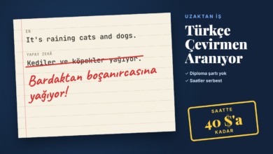 turkce-cevirmen