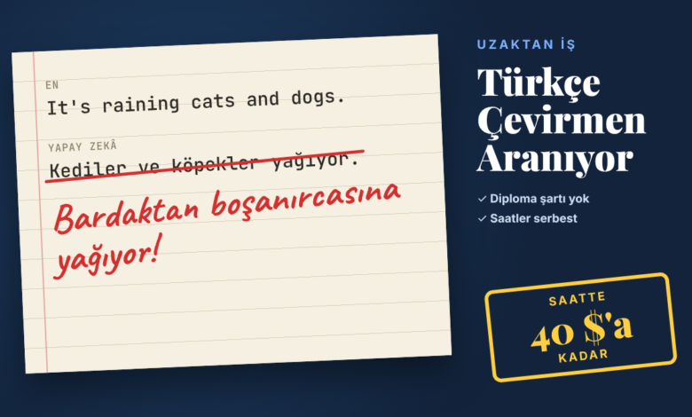 turkce-cevirmen