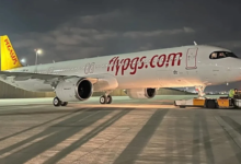 pegasus
