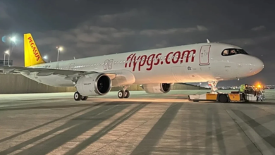 pegasus